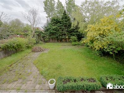 Picture 41